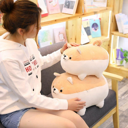 Grumpy Shiba Trio Plushies 🐶🤎