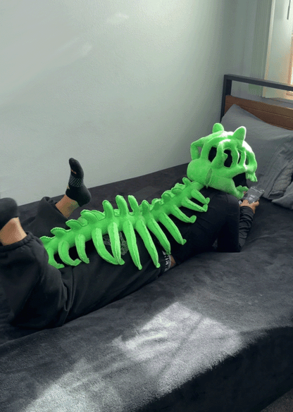 The Snuggie Fun Wearable Plush!