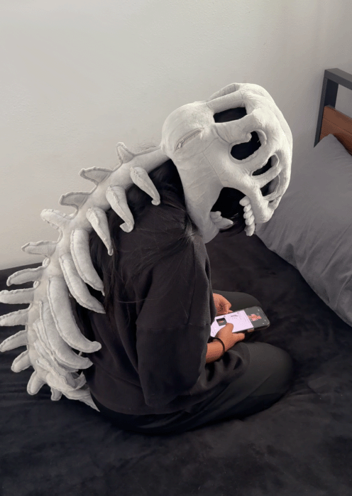 The Snuggie Fun Wearable Plush!