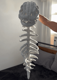 47-in-120-cm